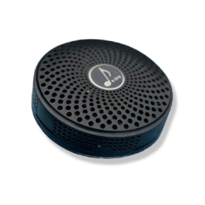 Bluetooth Audiosystem